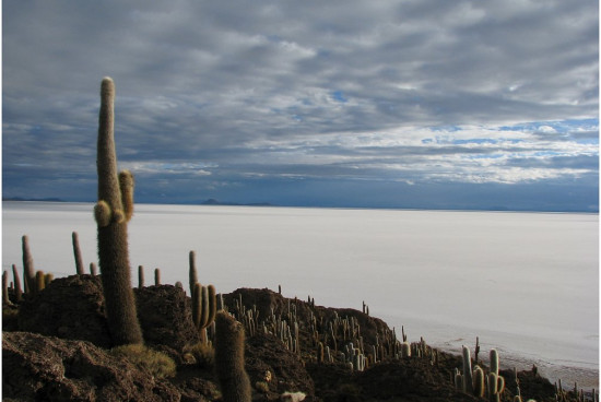 m__Salar Uyuni